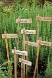 Указатель деревянный для растений 